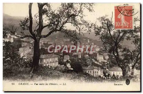 Cartes postales Grasse Vue Entre Les Oliviers