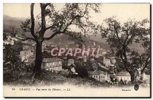 Cartes postales Grasse Vue Entre Les Oliviers