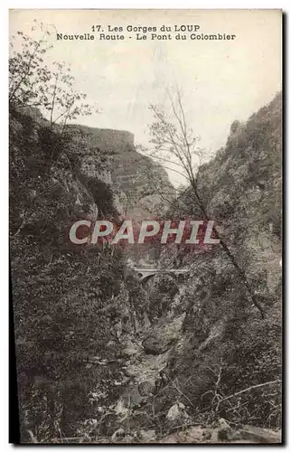 Cartes postales Les Gorges Du Loup La Nouvelle Route Le pont du Colombier