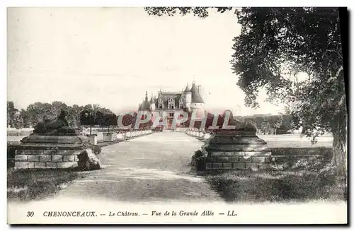 Ansichtskarte AK Chenonceaux Le Chateau Vue De La Grande Allee Sphinx