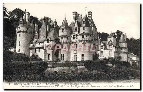 Cartes postales Rigny Usse Le Chateau Vue d&#39ensemble