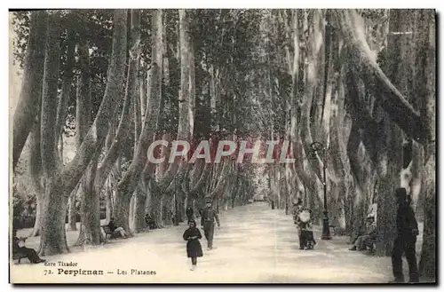 Cartes postales Perpignan Les Platanes