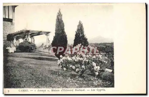 Cartes postales Cambo Arnaga Maison D'Edmond Rostand Les cypres