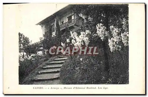 Cartes postales Cambo Arnaga Maison D&#39Edmond Rostand Les lys