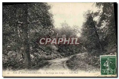 Ansichtskarte AK Foret De Fontainebleau La Gorge Aux Loups