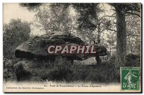 Ansichtskarte AK Foret de Fontainebleau La Tortue d&#39Apremont