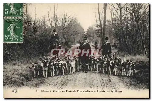 Ansichtskarte AK Foret de Fontainebleau Arrivee de la Meute Chasse a courre Chien Chiens