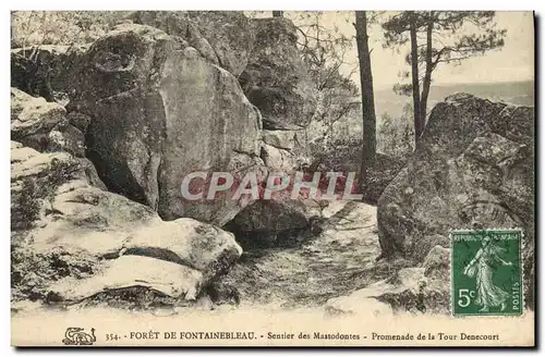 Cartes postales Foret de Fontainebleau Sentier des Mastodontes Promenade de la Tour Denecourt