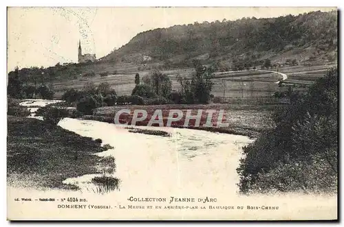 Cartes postales Domremy La Meuse et son arriere plan la basilique de Bois Chenu