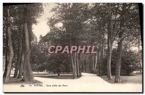Cartes postales Vittel Une Allee du Parc