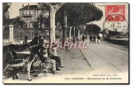 Ansichtskarte AK Cannes Boulevard de la Croisette Anes Mules