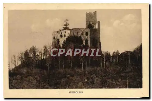 Cartes postales Spesbourg