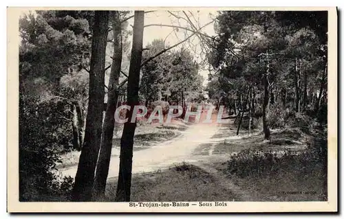 Cartes postales St Trojan les Bains Sous Bois