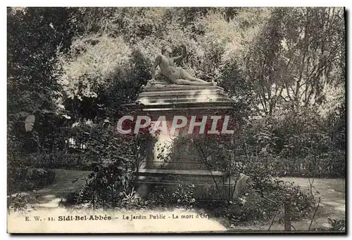Cartes postales Sidi Bel Abbes Le Jardin Public La mort d&#39Orphee