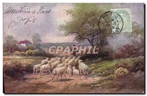 Cartes postales Fantaisie Moutons