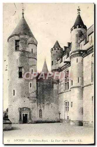 Cartes postales Loches Le Chateau Royal La Tour Agnes Sorel