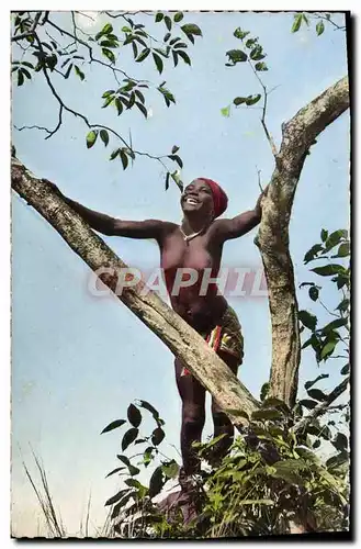 Cartes postales moderne L&#39Afrique En Couleurs La joie de vivre