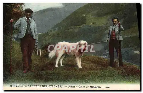 Cartes postales Scenes Et Types Des Pyrenees Guides Et Chien De Montagne
