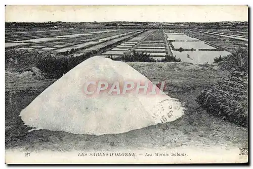 Ansichtskarte AK Les Sables D&#39Olonne Les Marais Salants