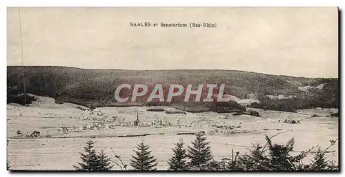 Cartes postales Saales Et Sanatorium