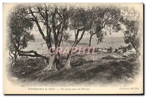 Cartes postales Panorama De Nice Vue Prise Entre Les Oliviers