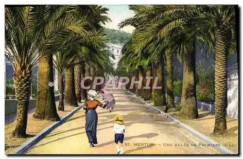 Cartes postales Menton Une Allee De Palmiers