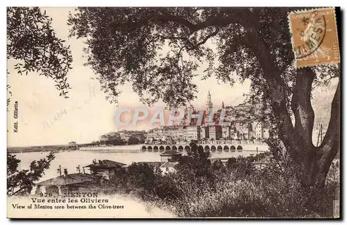 Cartes postales Menton Vue Entre Les Oliviers