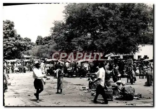 Cartes postales moderne Afrique Marche