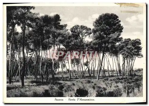 Cartes postales Pescare Pineta D&#39Annunziana