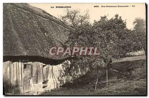 Cartes postales Normandie Nos pommiers normands