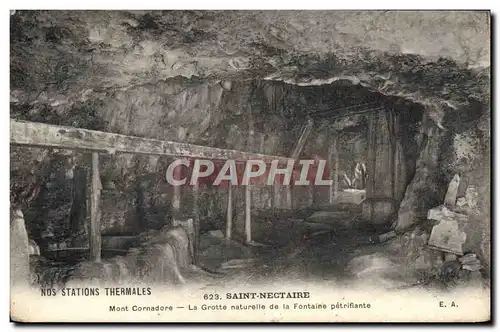 Ansichtskarte AK Saint Nectaire La Grotte naturelle De La Fontaine Petriflante