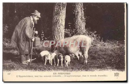 Cartes postales En Perigord L&#39Opprintichaze Tout Lou Mounde Trobaillo Cochon Porc