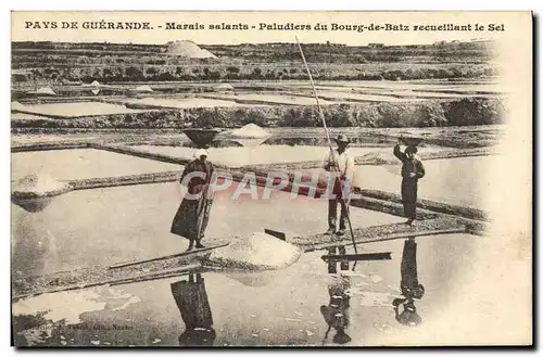 Cartes postales Pays De Guerande Marais Salants Paludiers Du Bourg De Batz recueillant le sel