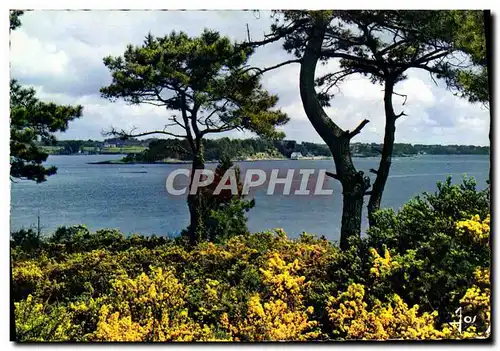 Moderne Karte La Bretagne En Couleurs L&#39Ile Aux Moines Vue generale sur le Golfe