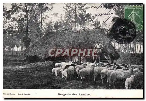 Cartes postales Bergerie Des Landes