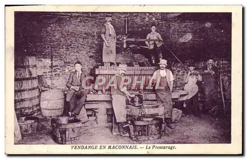 Cartes postales Vendange en Maconnais Le pressurage