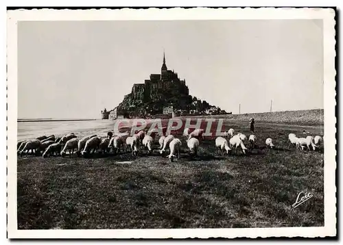 Cartes postales moderne Le Mont Saint Michel
