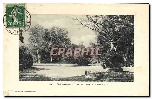 Cartes postales Toulouse Une Pelouse Du Jardin Royal