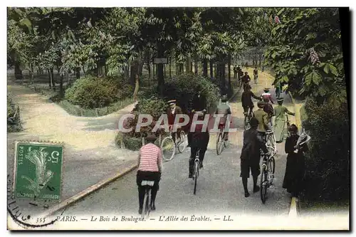 Ansichtskarte AK Paris Le Bois De Boulogne L&#39Allee Des Erables Velo Cycle