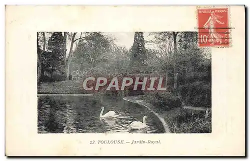 Cartes postales Toulouse Jardin Royal Cygnes