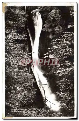 Ansichtskarte AK Environs Du Mont Dore Et De La Bourboule Cascade Du Plat A Barbe