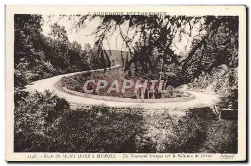 Cartes postales Le Mont Dore A Murols Un Tournant Brusque sur le ruisseau de Diane