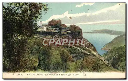 Cartes postales Eze Entre Les Oliviers Les ruines du chateau