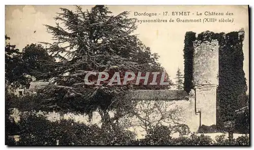 Cartes postales Eymet Le Chateau Des Teyssonnieres De Grammont