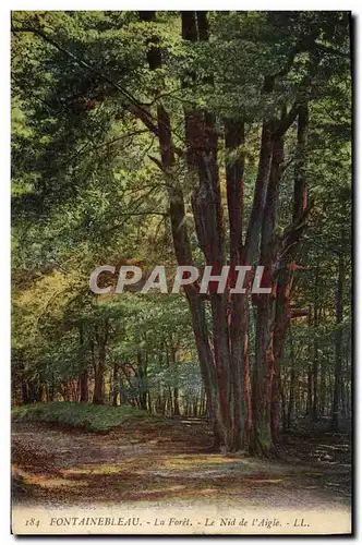 Cartes postales Fontainebleau La Foret Le Nid De I&#39Aigle