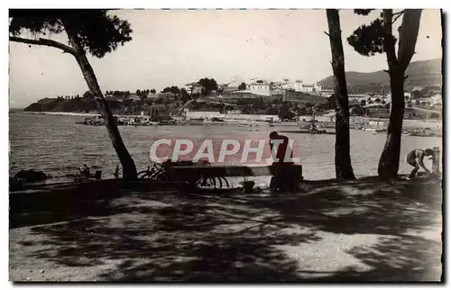 Cartes postales moderne Carqueiranne Promenade Des Pins Penches