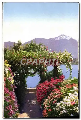 Cartes postales Villa Carlotta Giardino