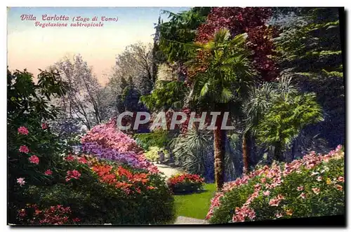 Cartes postales Villa Carlotta Lago Di Como Vegetazione Subtropicale