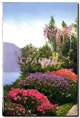 Cartes postales Villa Carlotta Giardino