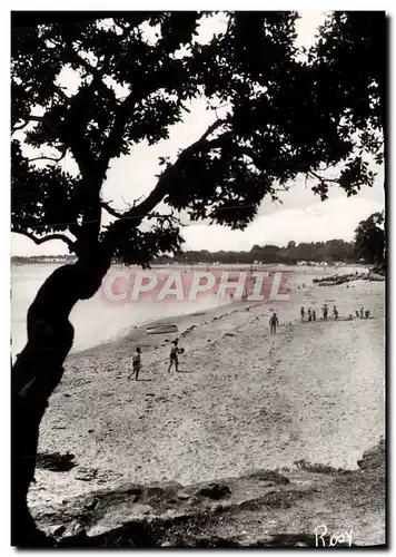 Cartes postales moderne Noirmoutier Vue D&#39Ensemble De La Place Des Sarleaux